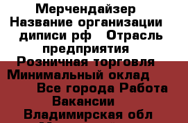 Мерчендайзер › Название организации ­ диписи.рф › Отрасль предприятия ­ Розничная торговля › Минимальный оклад ­ 25 000 - Все города Работа » Вакансии   . Владимирская обл.,Муромский р-н